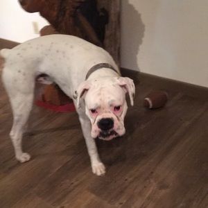 Meet your Posher, Jason